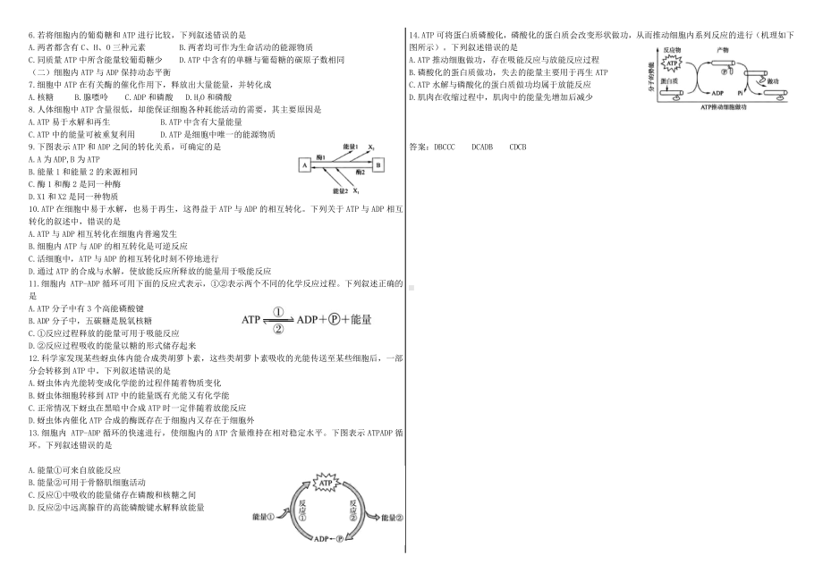 3.1ATP是细胞内的“能量通货”学案-（新教材）2019新浙科版高中生物必修一.doc_第2页