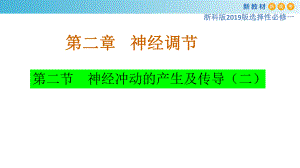 2.2神经冲动的产生和传导（2）ppt课件-（新教材）2019新浙科版高中生物选择性必修一.pptx