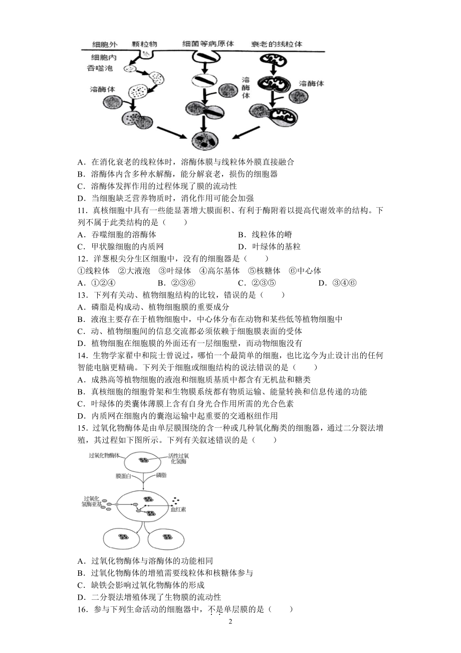 “2.3细胞质是多项生命活动的场所”配套练习-（新教材）2019新浙科版高中生物必修一.docx_第2页