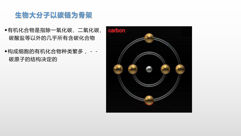 1.2生物大分子以碳链为骨架 ppt课件-（新教材）2019新浙科版高中生物必修一（114张PPT）.pptx_第2页