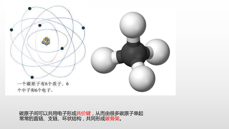 1.2生物大分子以碳链为骨架 ppt课件-（新教材）2019新浙科版高中生物必修一（114张PPT）.pptx_第3页