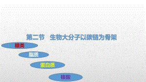 1.2生物大分子以碳链为骨架 ppt课件-（新教材）2019新浙科版高中生物必修一（114张PPT）.pptx