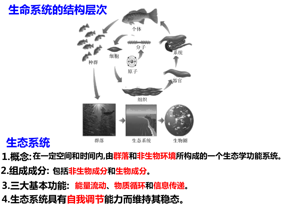 3.1群落与非生物环境组成生态系统ppt课件-（新教材）2019新浙科版高中生物选择性必修二.pptx_第2页