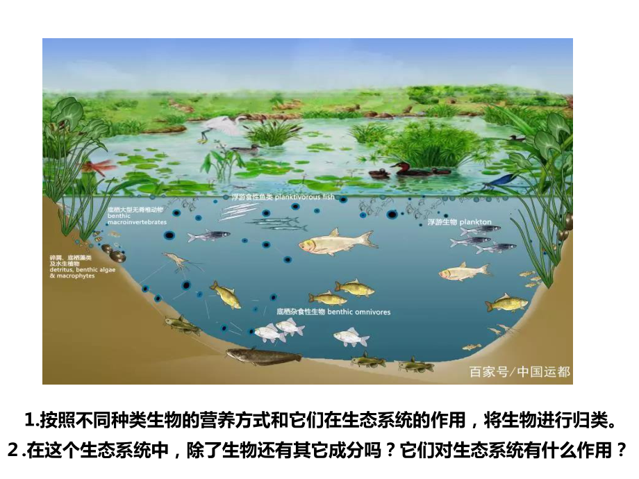 3.1群落与非生物环境组成生态系统ppt课件-（新教材）2019新浙科版高中生物选择性必修二.pptx_第3页