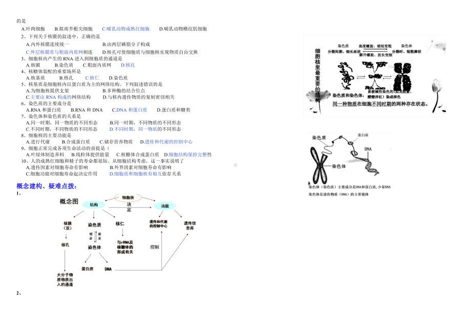 2.4细胞核是细胞生命活动的控制中心学案-（新教材）2019新浙科版高中生物必修一 (2).doc_第2页