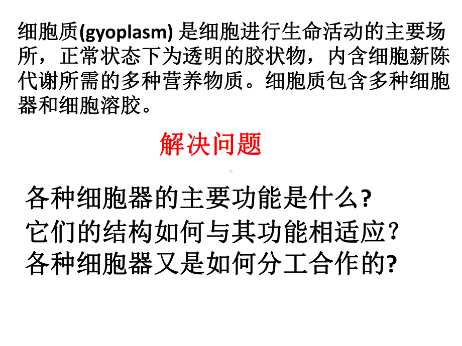 2.3细胞质是多项生命活动的场所ppt课件-（新教材）2019新浙科版高中生物必修一(02).pptx_第2页