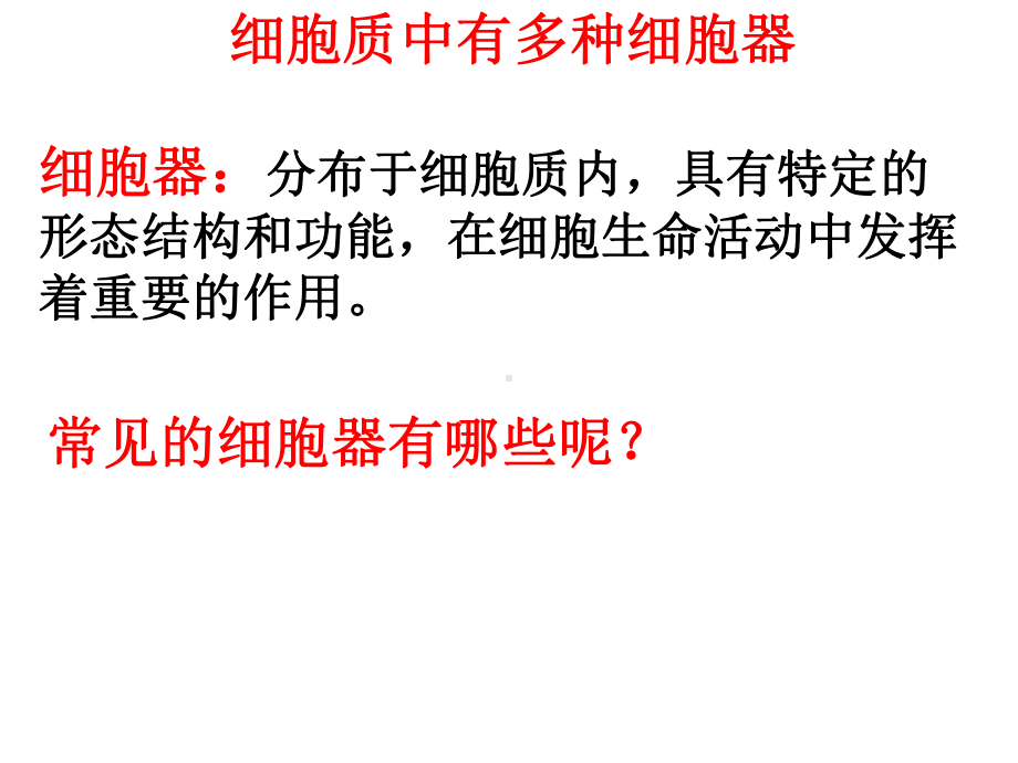 2.3细胞质是多项生命活动的场所ppt课件-（新教材）2019新浙科版高中生物必修一(02).pptx_第3页