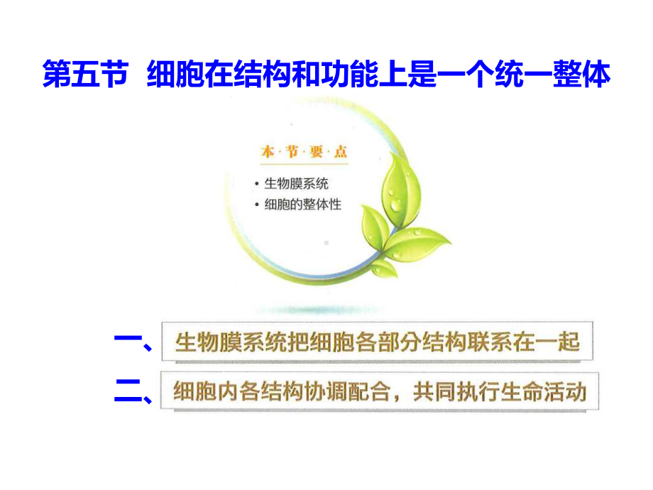 2.5细胞在结构和功能上是一个统一整体2.6原核细胞内无成形的细胞核ppt课件-（新教材）2019新浙科版高中生物必修一.pptx_第1页