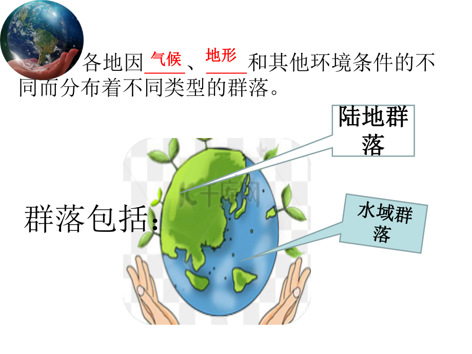 2.3地球上分布着不同类型的群落ppt课件-（新教材）2019新浙科版高中生物选择性必修二(02).ppt_第2页