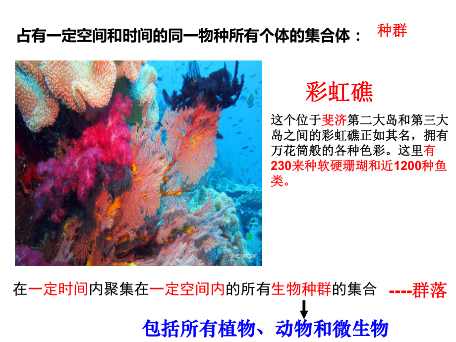 2.1不同种群组成群落ppt课件-（新教材）2019新浙科版高中生物选择性必修二(02).ppt_第1页