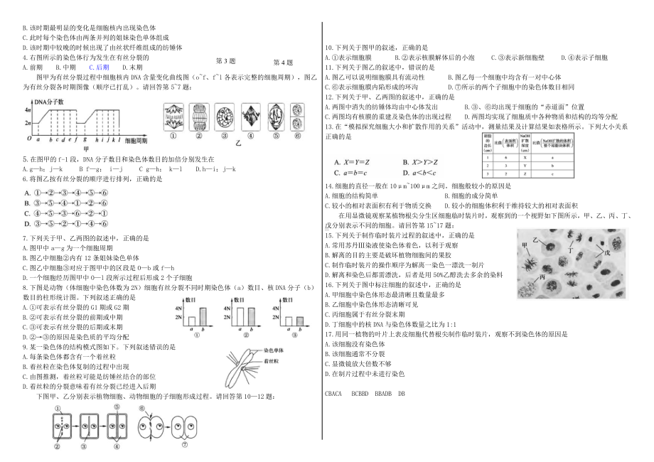 4.1细胞通过分裂增殖二学案-（新教材）2019新浙科版高中生物必修一.doc_第2页