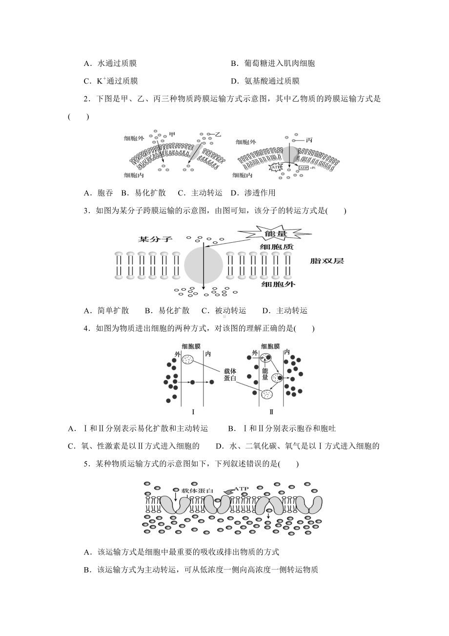 3.3物质通过多种方式出入细胞第2课时主动转运胞吞和胞吐学案-（新教材）2019新浙科版高中生物必修一.doc_第3页