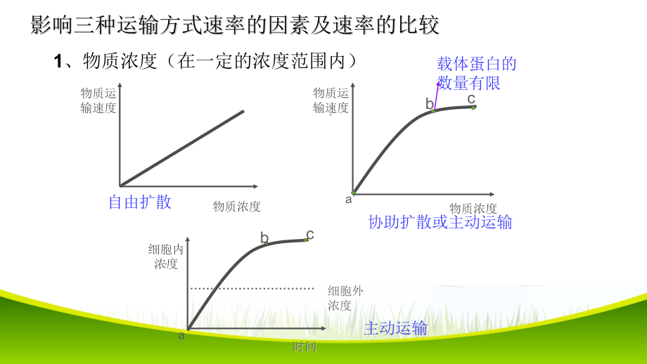 42主动运输与胞吞胞吐ppt课件新教材2019新人教版高中生物必修一zip