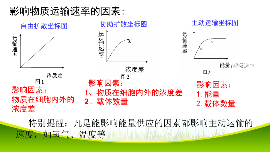 42主动运输与胞吞胞吐ppt课件新教材2019新人教版高中生物必修一zip