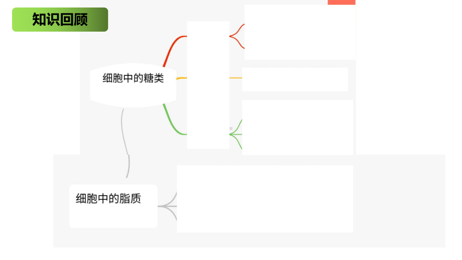 2.4 蛋白质是生命活动的主要承担者 ppt课件-（新教材）2019新人教版高中生物必修一 (2).pptx_第1页