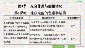 （新教材）2019新人教版高中生物必修一第1课时　捕获光能的色素和结构ppt课件.pptx