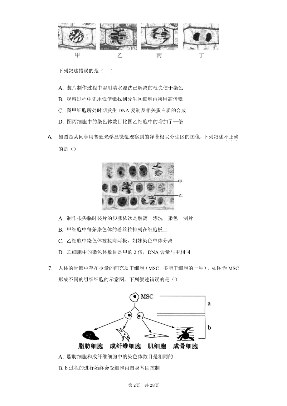 《分子与细胞》期末复习五：细胞的生命历程 期末练习 -（新教材）2019新人教版高中生物必修一.docx_第2页