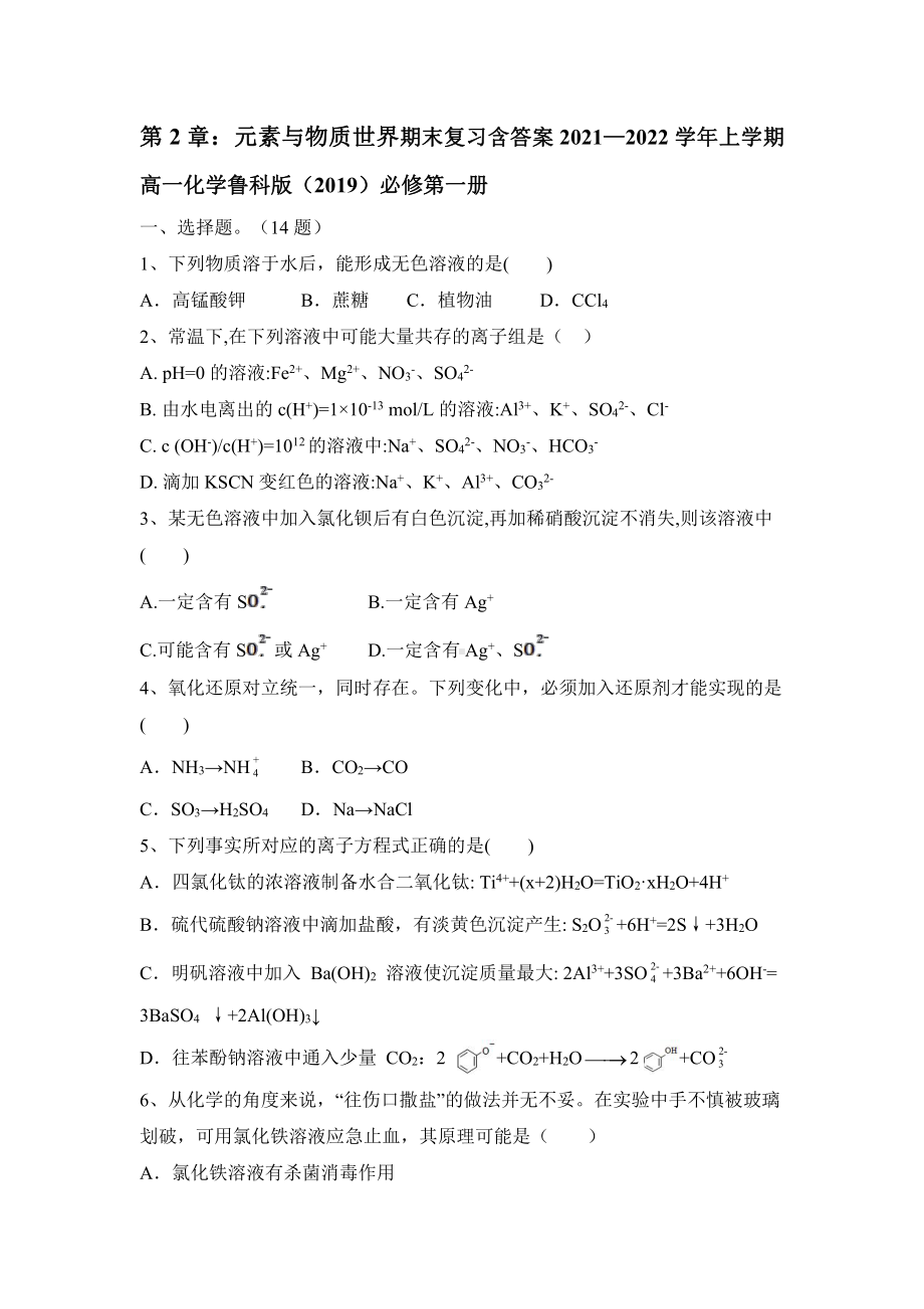 第2章：元素与物质世界期末复习 2021—2022学年上学期高一化学鲁科版（2019）必修第一册.doc_第1页