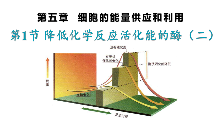 5.1.2 降低化学反应活化能的酶ppt课件-（新教材）2019新人教版高中生物必修一.pptx_第1页