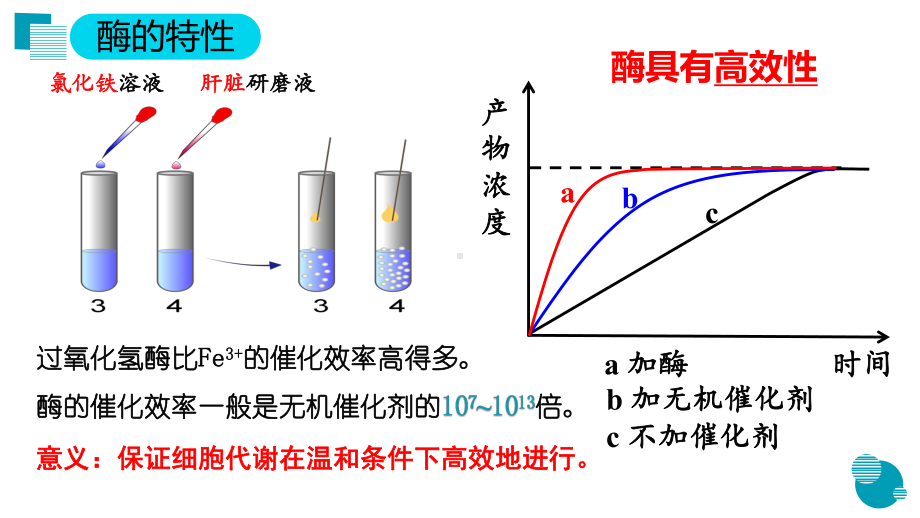 5.1.2 降低化学反应活化能的酶ppt课件-（新教材）2019新人教版高中生物必修一.pptx_第2页