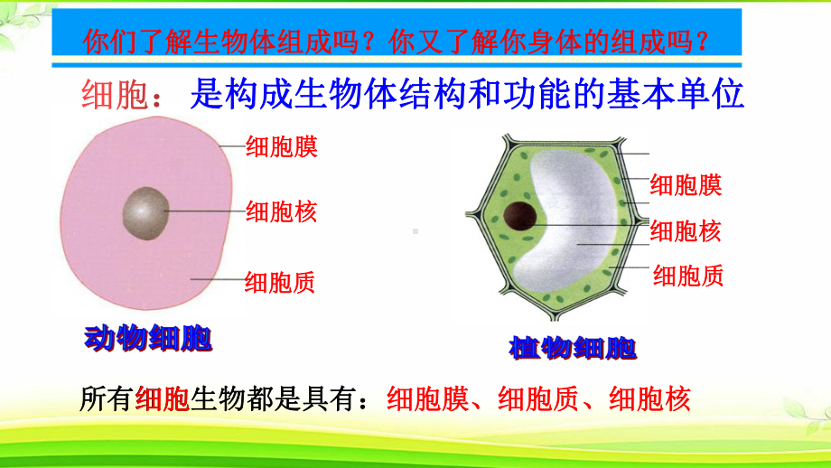 1.1 从生物圈到细胞ppt课件-（新教材）2019新人教版高中生物必修一.pptx_第2页