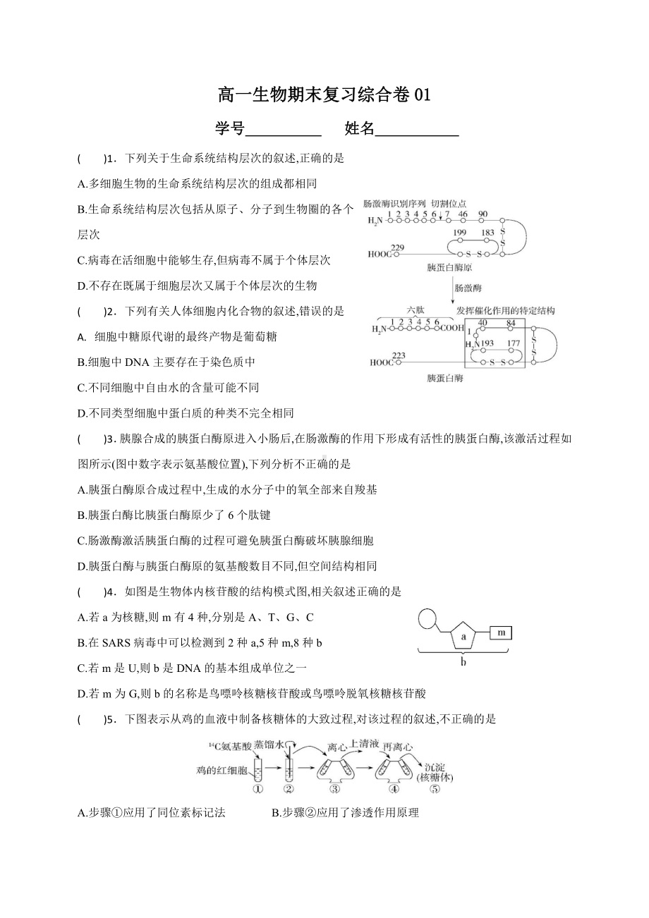 （新教材）2019新人教版高中生物必修1期末考试综合复习卷(一) .doc_第1页