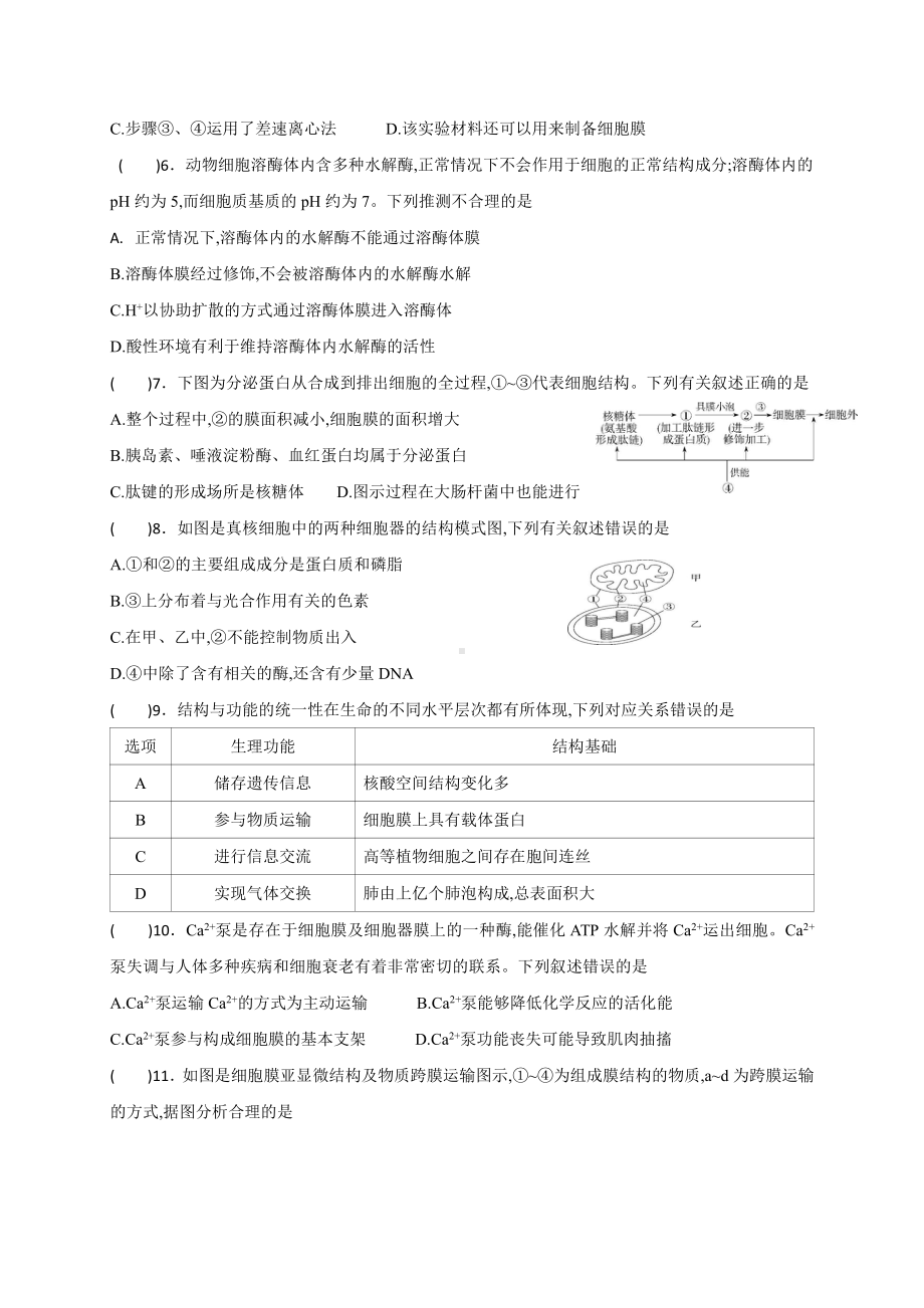 （新教材）2019新人教版高中生物必修1期末考试综合复习卷(一) .doc_第2页