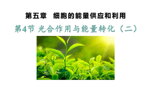 5.4.2 光合作用与能量转化 ppt课件-（新教材）2019新人教版高中生物必修一.pptx