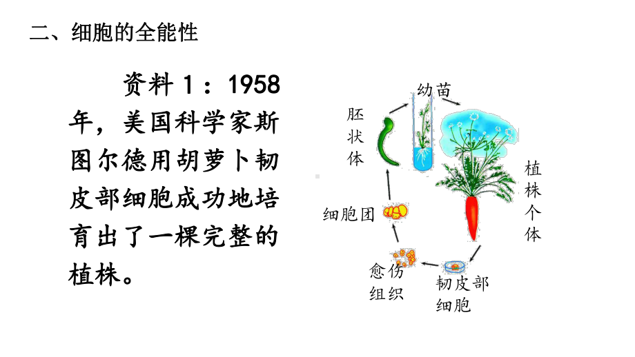 6.2.2 细胞的分化 ppt课件-（新教材）2019新人教版高中生物必修一.pptx_第3页