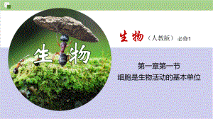 1.1 细胞是生命活动的基本单位ppt课件-（新教材）2019新人教版高中生物必修一.pptx