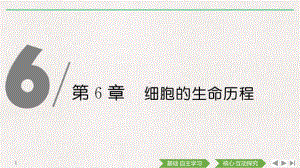 （新教材）2019新人教版高中生物必修一第1课时　细胞周期和有丝分裂的过程ppt课件.pptx