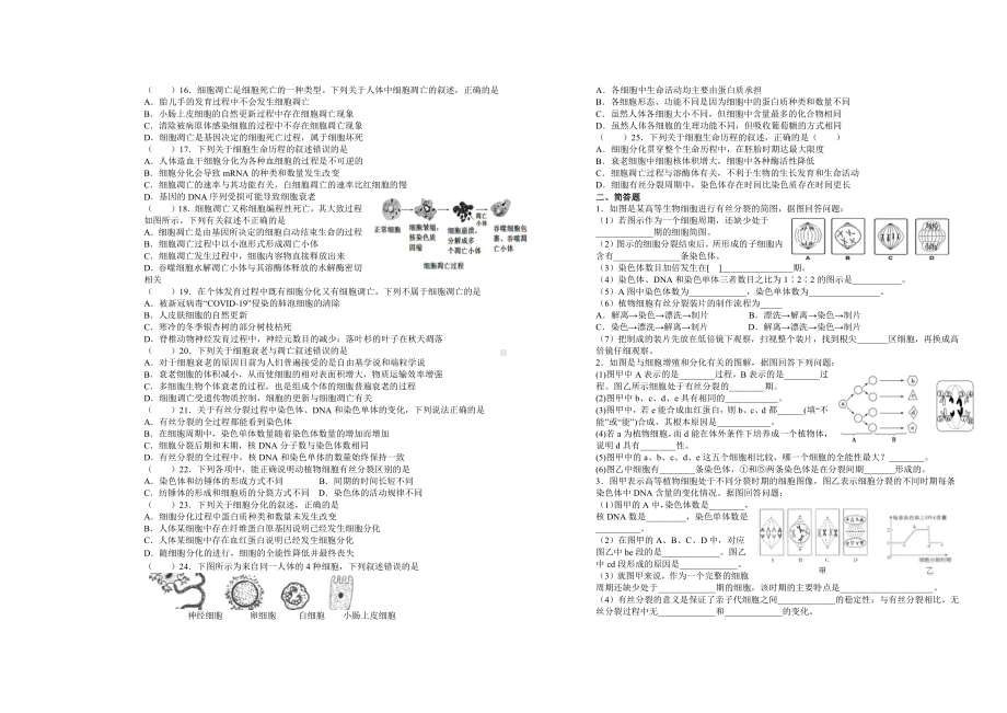 （新教材）2019新人教版高中生物必修1期末考试第六单元复习卷.doc_第2页