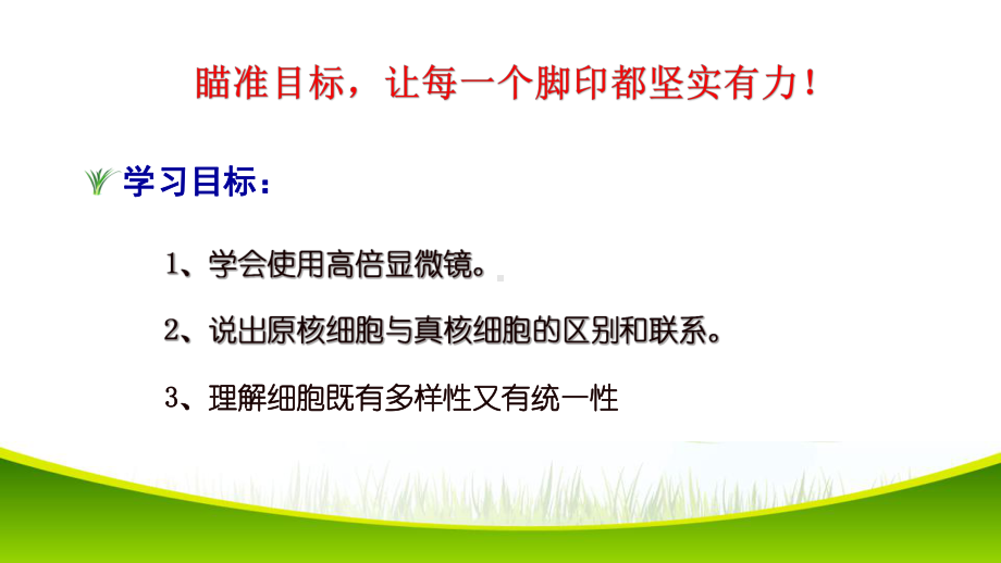 1.2 细胞的多样性和统一性 课件-2021-2022学年人教版（2019）高一生物必修一.pptx_第3页