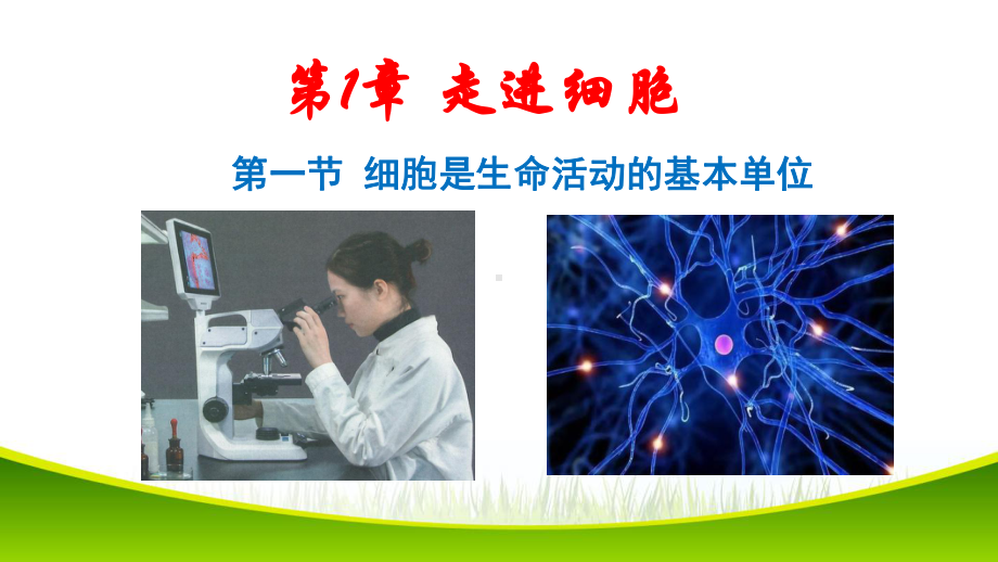 1.1+细胞是生命活动的基本单位+ppt课件-（新教材）2019新人教版高中生物必修一.pptx_第2页