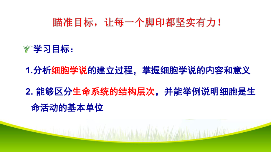 1.1+细胞是生命活动的基本单位+ppt课件-（新教材）2019新人教版高中生物必修一.pptx_第3页