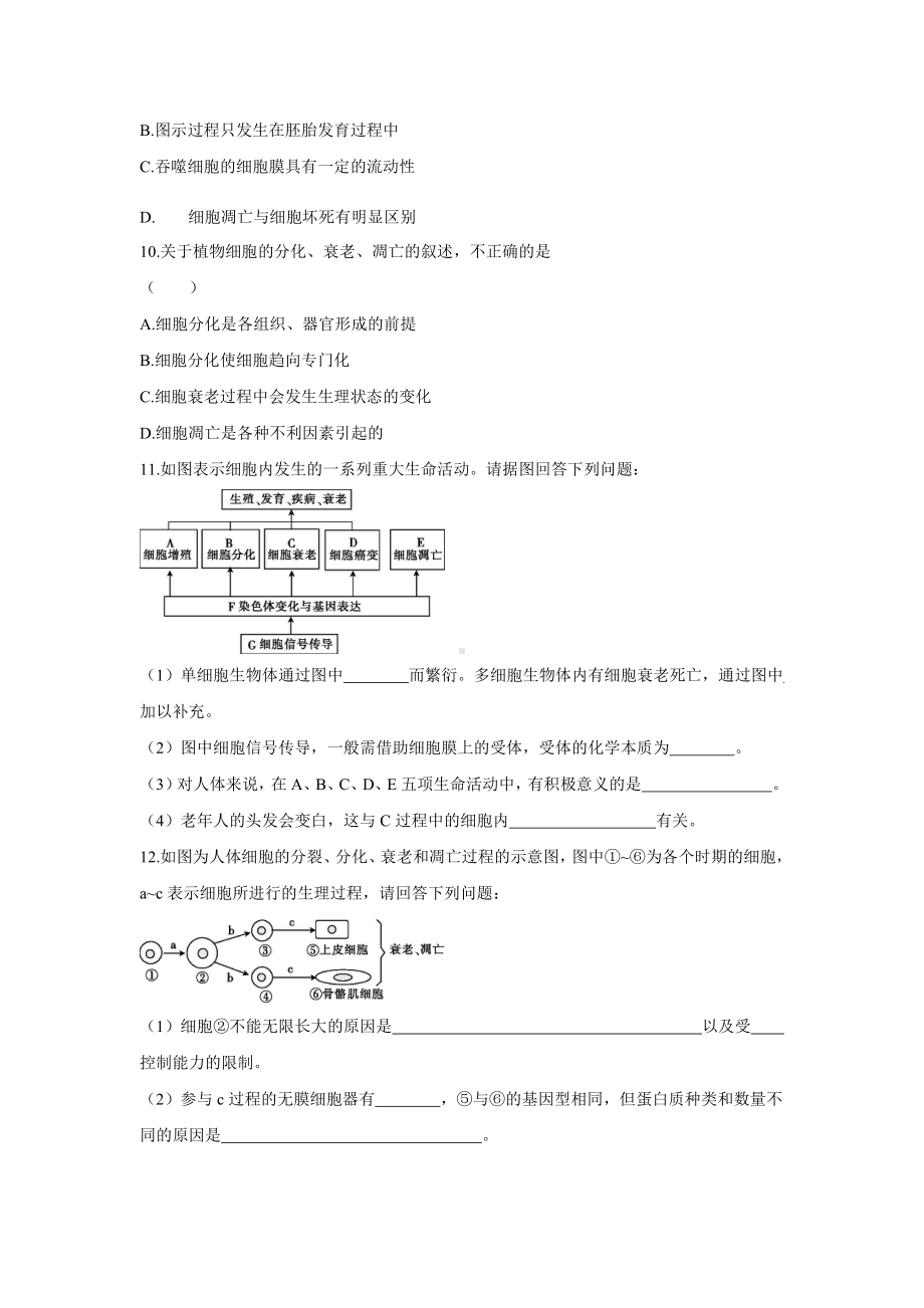 （新教材）2019新人教版高中生物必修一6.3 细胞的衰老和死亡同步练习.docx_第3页