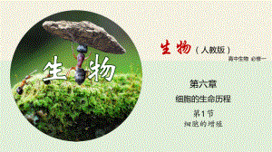 6.1细胞的增殖 3课时 ppt课件-（新教材）2019新人教版高中生物必修一.pptx