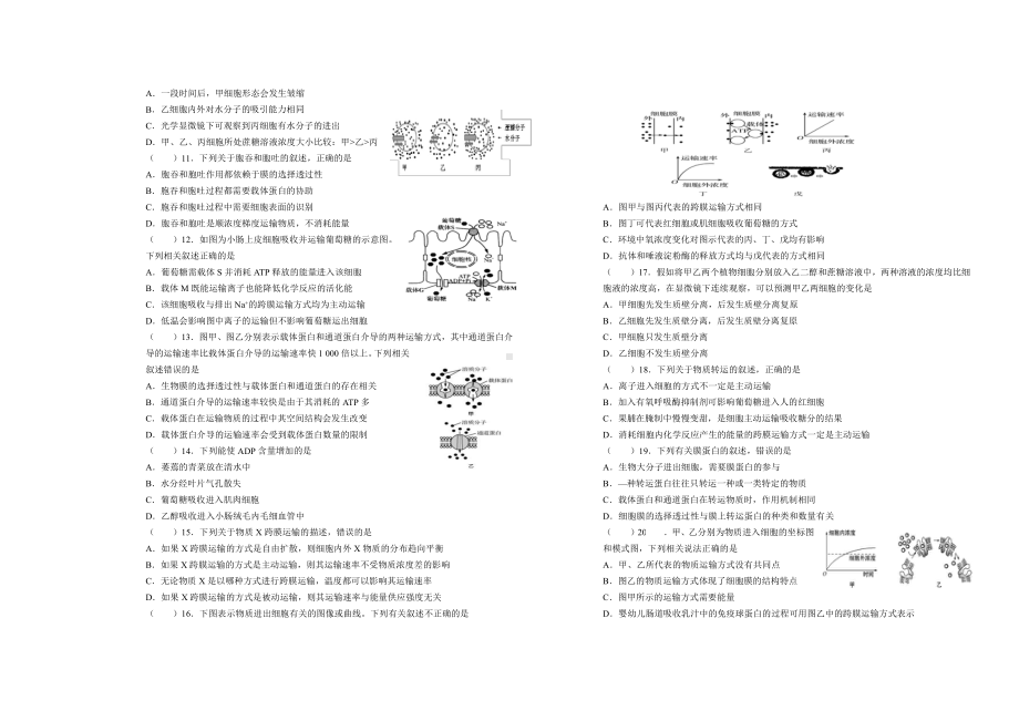 （新教材）2019新人教版高中生物必修1期末考试第四单元复习卷.doc_第2页