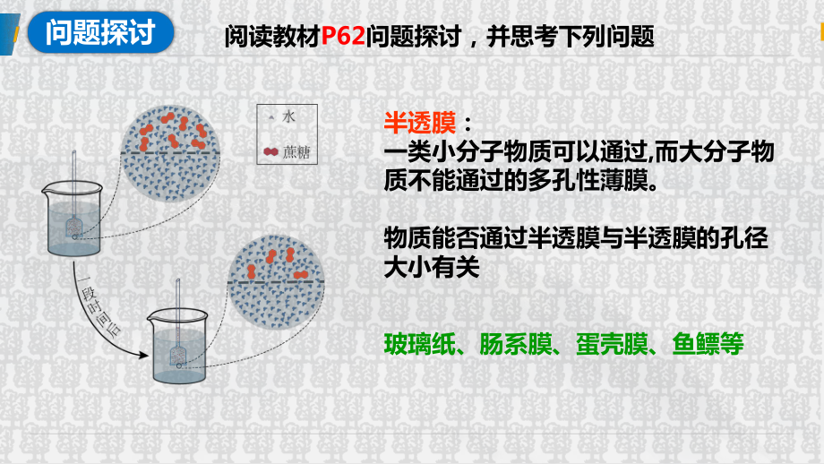 4.1被动运输+ppt课件-（新教材）2019新人教版高中生物必修一.pptx_第3页