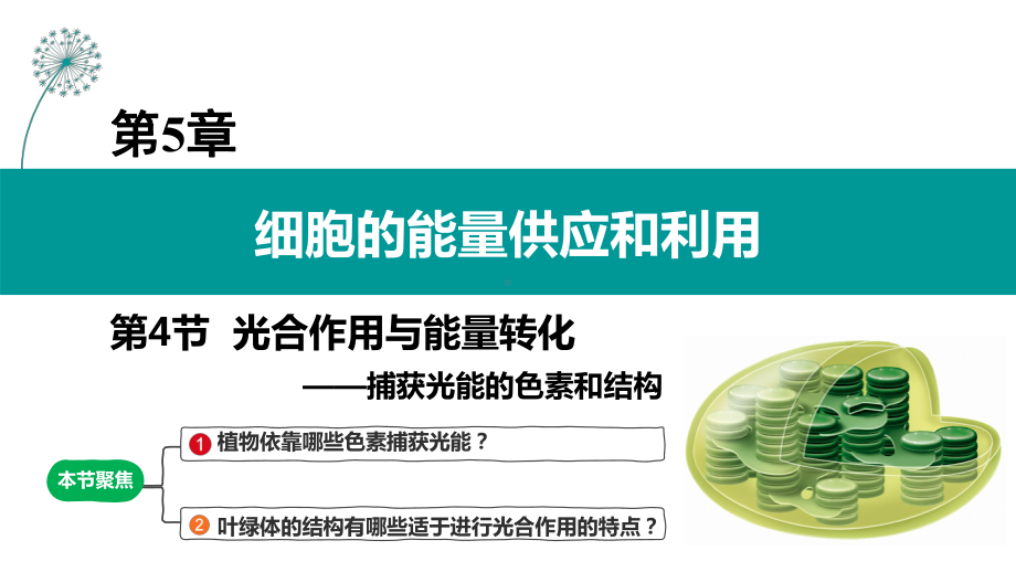 5.4光合作用与能量转化-ppt课件-（新教材）2019新人教版高中生物必修一.pptx_第1页