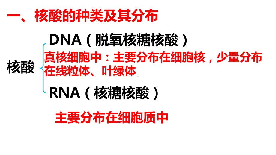 2.5 核酸是遗传信息的携带者ppt课件-（新教材）2019新人教版高中生物必修一.pptx_第3页