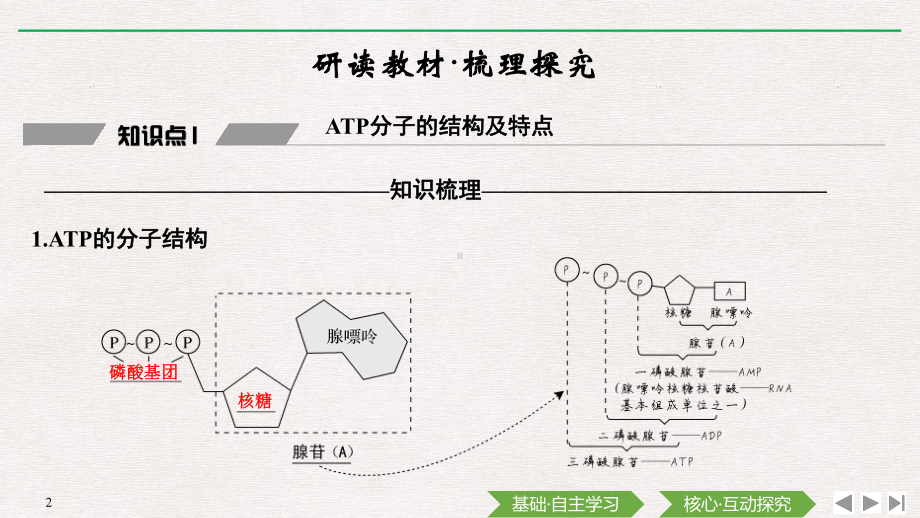 （新教材）2019新人教版高中生物必修一第2节　细胞的能量“货币”ATPppt课件.pptx_第2页