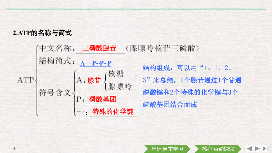 （新教材）2019新人教版高中生物必修一第2节　细胞的能量“货币”ATPppt课件.pptx_第3页