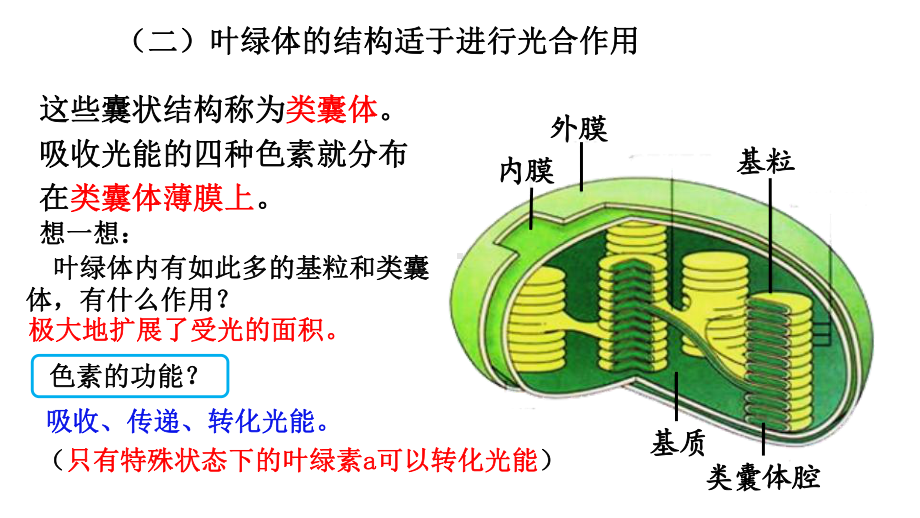 5.4 光合作用的原理与应用 (第2课时) ppt课件-（新教材）2019新人教版高中生物必修一.pptx_第3页