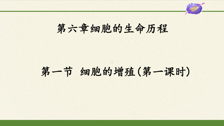 6.1细胞的增殖 1课时 ppt课件-（新教材）2019新人教版高中生物必修一.pptx_第2页