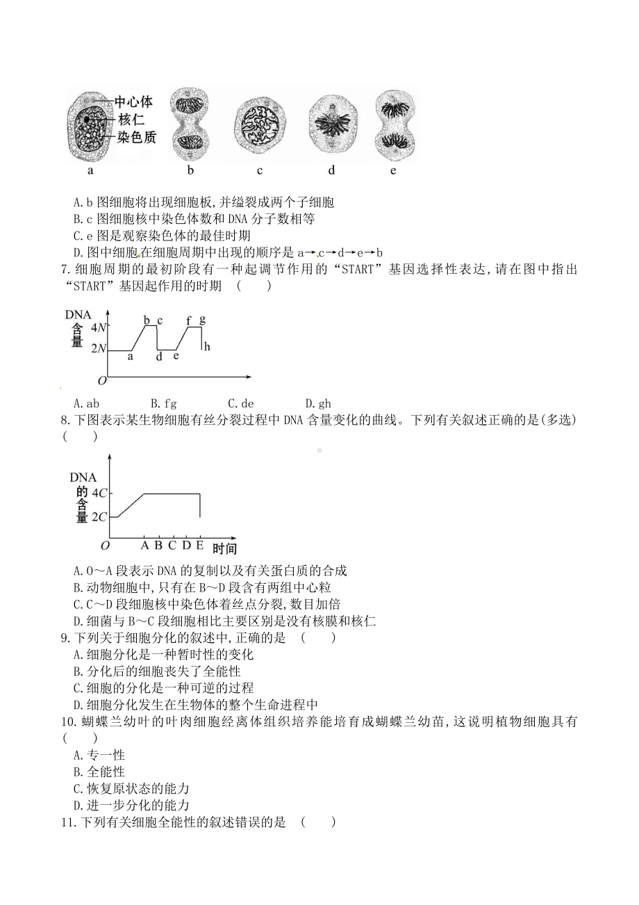 （新教材）2019新人教版高中生物必修1期末考试复习试题 第6章.doc_第2页