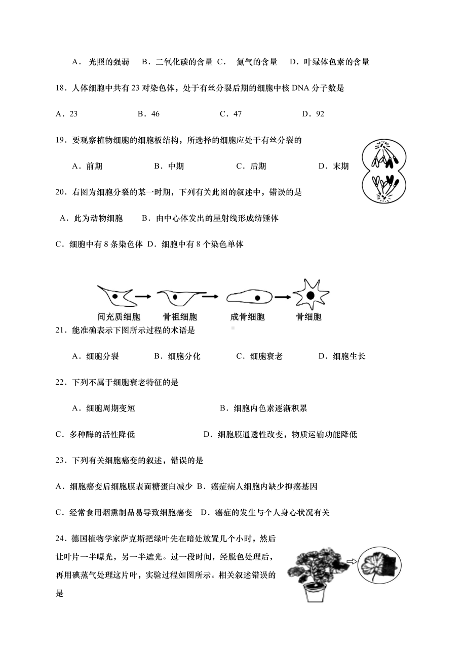 （新教材）2019新人教版高中生物必修1期末考试仿真模拟试卷5 .docx_第3页