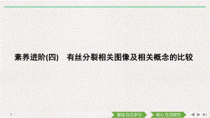 （新教材）2019新人教版高中生物必修一素养进阶(四)　有丝分裂相关图像及相关概念的比较ppt课件.pptx