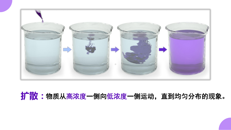 4.1.1被动运输（第一课时） ppt课件-（新教材）2019新人教版高中生物必修一.pptx_第2页