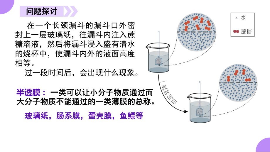 4.1.1被动运输（第一课时） ppt课件-（新教材）2019新人教版高中生物必修一.pptx_第3页